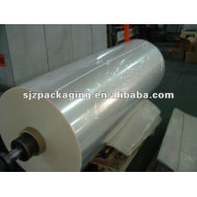 12mic hostaphan film/polyester film